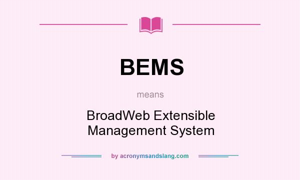 What does BEMS mean? It stands for BroadWeb Extensible Management System