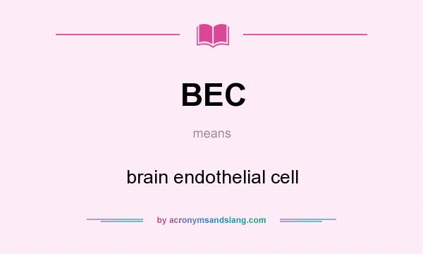 What does BEC mean? It stands for brain endothelial cell