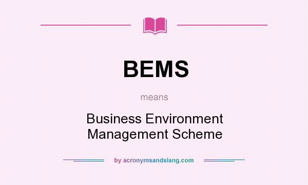 What does BEMS mean? It stands for Business Environment Management Scheme