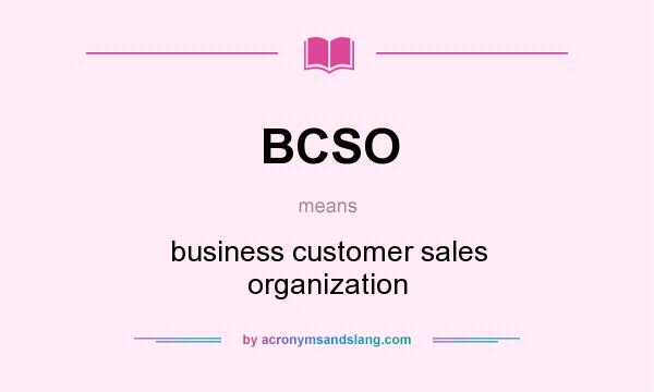What does BCSO mean? It stands for business customer sales organization