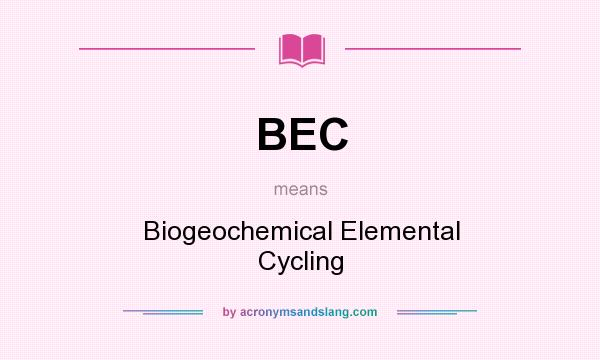 What does BEC mean? It stands for Biogeochemical Elemental Cycling