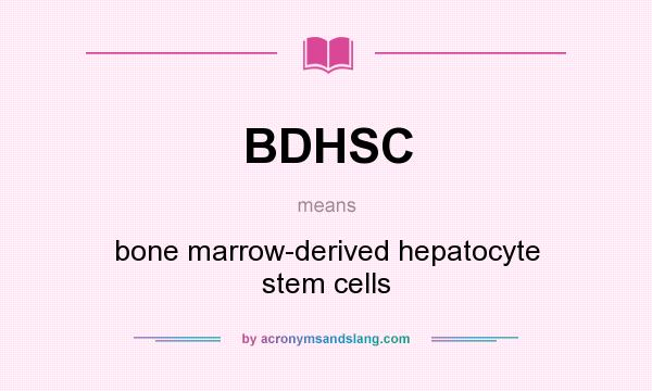 What does BDHSC mean? It stands for bone marrow-derived hepatocyte stem cells