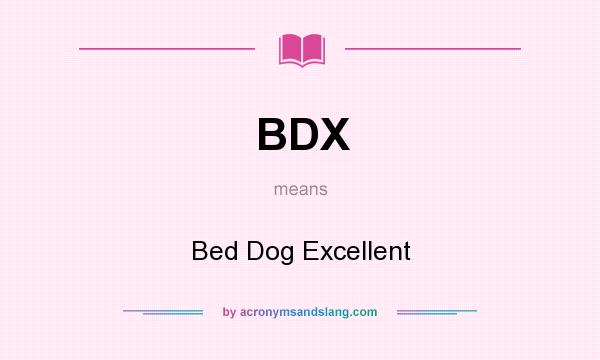 What does BDX mean? It stands for Bed Dog Excellent