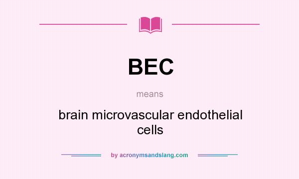 What does BEC mean? It stands for brain microvascular endothelial cells