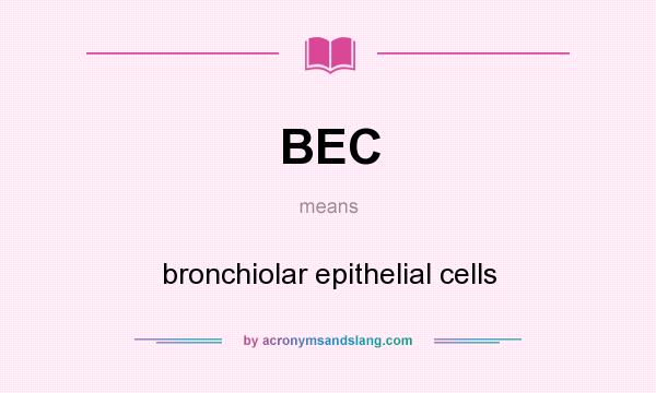 What does BEC mean? It stands for bronchiolar epithelial cells