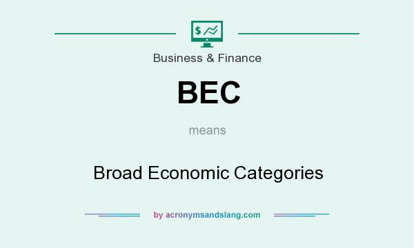 What does BEC mean? It stands for Broad Economic Categories