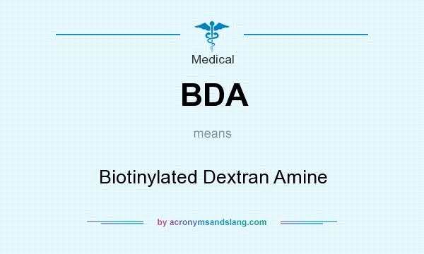 What does BDA mean? It stands for Biotinylated Dextran Amine