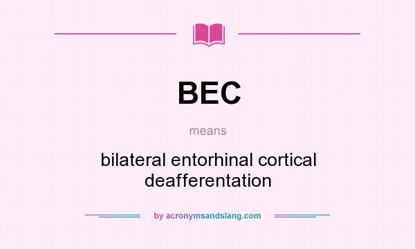 What does BEC mean? It stands for bilateral entorhinal cortical deafferentation