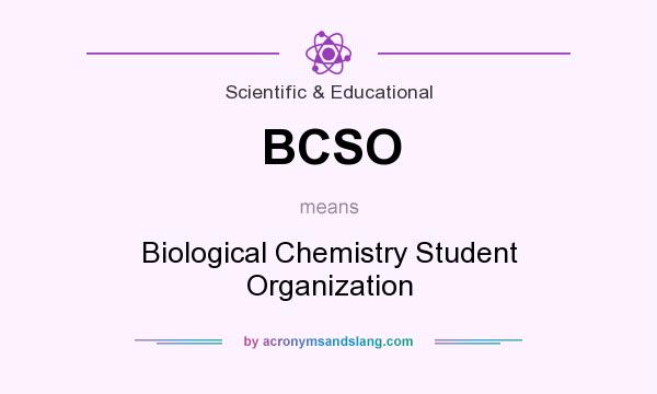 What does BCSO mean? It stands for Biological Chemistry Student Organization