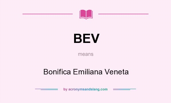 What does BEV mean? It stands for Bonifica Emiliana Veneta