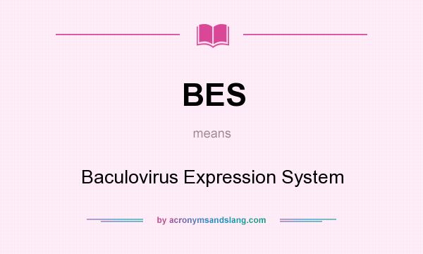 What does BES mean? It stands for Baculovirus Expression System