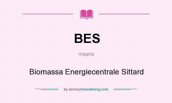 What does BES mean? It stands for Biomassa Energiecentrale Sittard