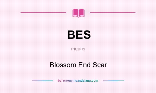 What does BES mean? It stands for Blossom End Scar