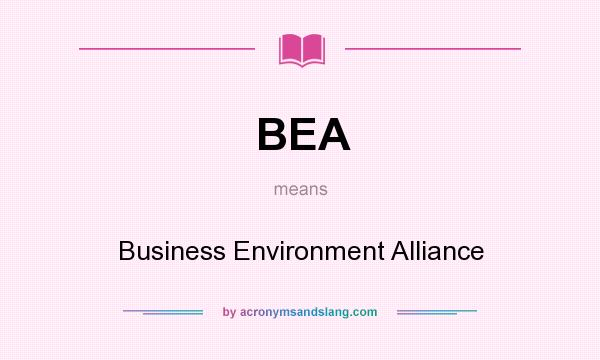 What does BEA mean? It stands for Business Environment Alliance