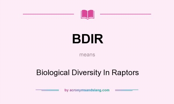 What does BDIR mean? It stands for Biological Diversity In Raptors