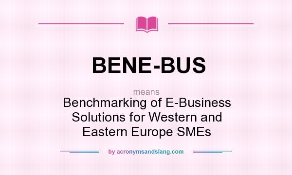 What does BENE-BUS mean? It stands for Benchmarking of E-Business Solutions for Western and Eastern Europe SMEs