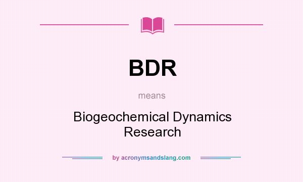 What does BDR mean? It stands for Biogeochemical Dynamics Research