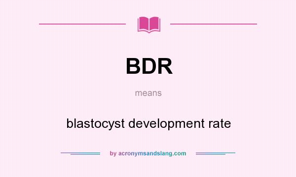 What does BDR mean? It stands for blastocyst development rate