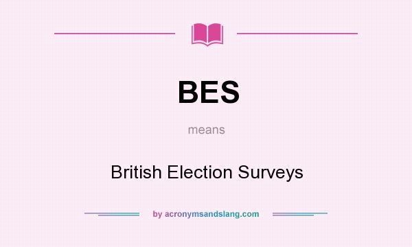 What does BES mean? It stands for British Election Surveys