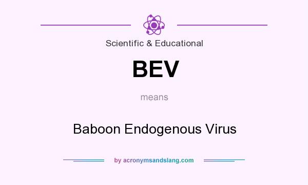 What does BEV mean? It stands for Baboon Endogenous Virus