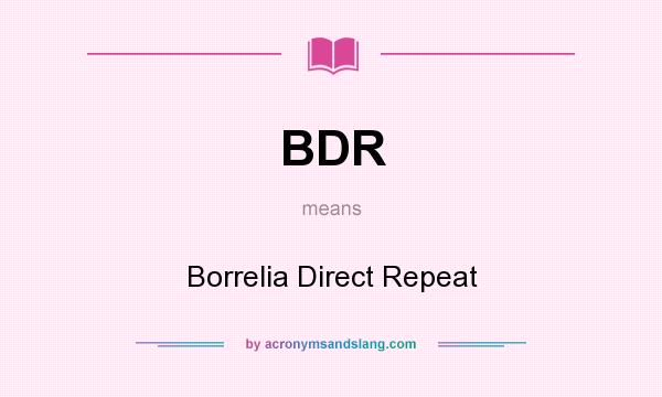 What does BDR mean? It stands for Borrelia Direct Repeat