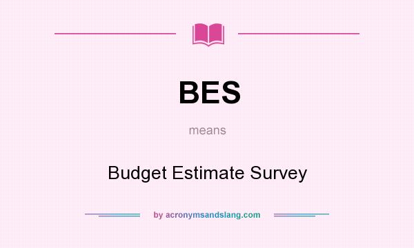 What does BES mean? It stands for Budget Estimate Survey