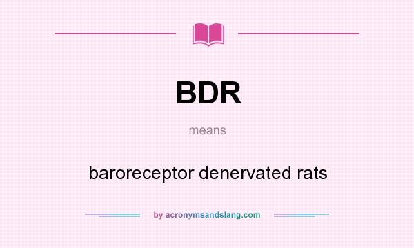 What does BDR mean? It stands for baroreceptor denervated rats