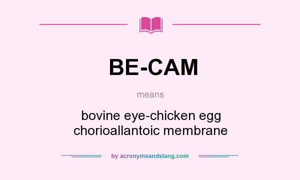 What does BE-CAM mean? It stands for bovine eye-chicken egg chorioallantoic membrane