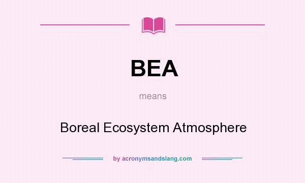 What does BEA mean? It stands for Boreal Ecosystem Atmosphere