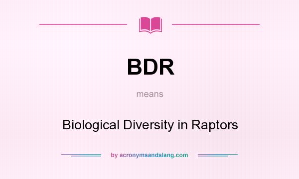 What does BDR mean? It stands for Biological Diversity in Raptors