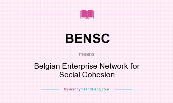 What does BENSC mean? It stands for Belgian Enterprise Network for Social Cohesion