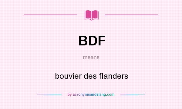 What does BDF mean? It stands for bouvier des flanders