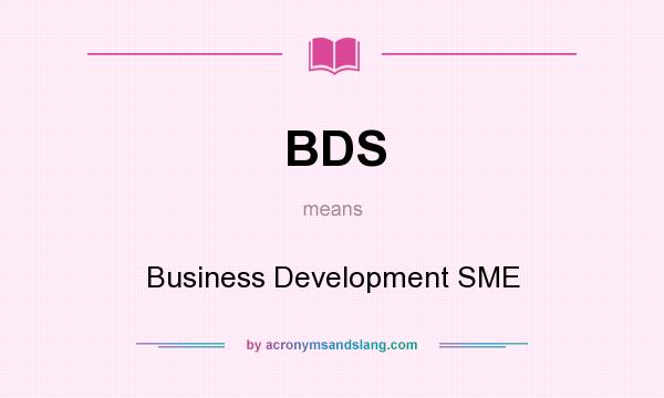 What does BDS mean? It stands for Business Development SME