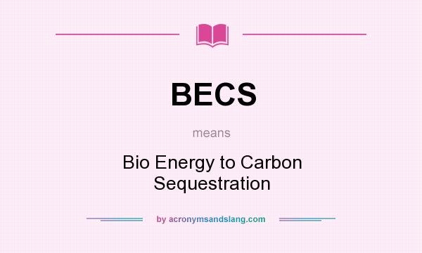 What does BECS mean? It stands for Bio Energy to Carbon Sequestration