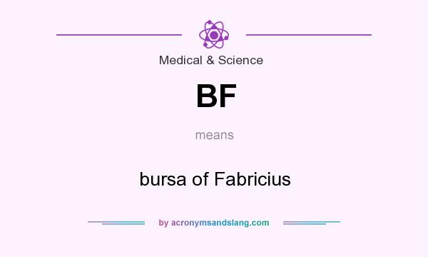 What does BF mean? It stands for bursa of Fabricius