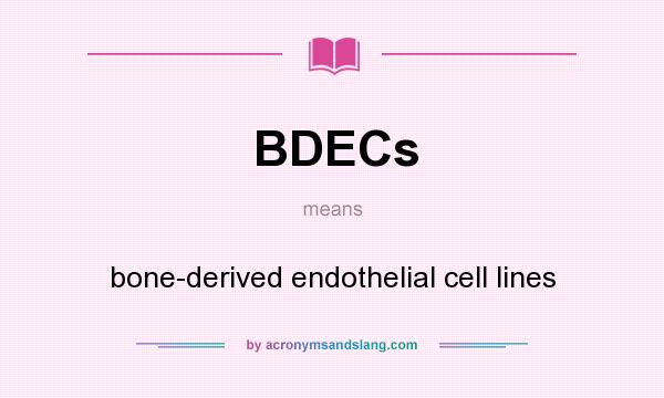 What does BDECs mean? It stands for bone-derived endothelial cell lines
