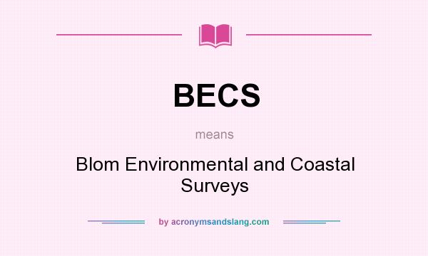 What does BECS mean? It stands for Blom Environmental and Coastal Surveys