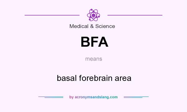 What does BFA mean? It stands for basal forebrain area
