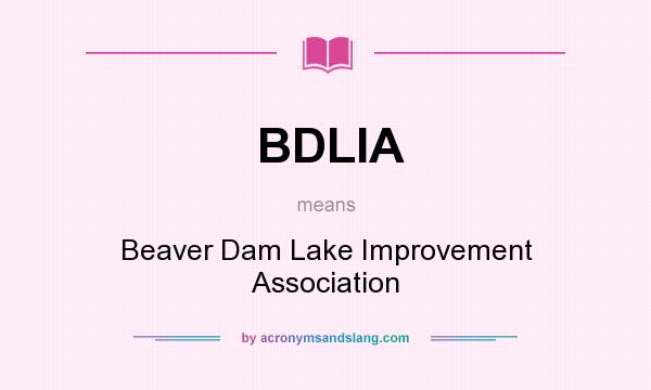 What does BDLIA mean? It stands for Beaver Dam Lake Improvement Association