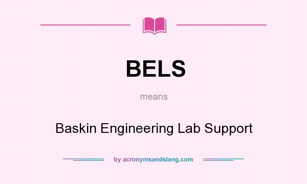 What does BELS mean? It stands for Baskin Engineering Lab Support