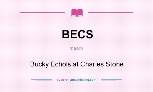 What does BECS mean? It stands for Bucky Echols at Charles Stone