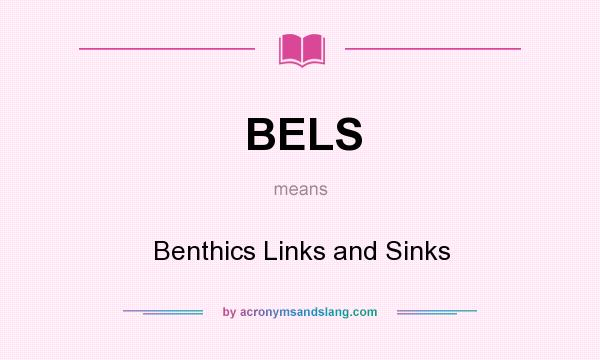 What does BELS mean? It stands for Benthics Links and Sinks
