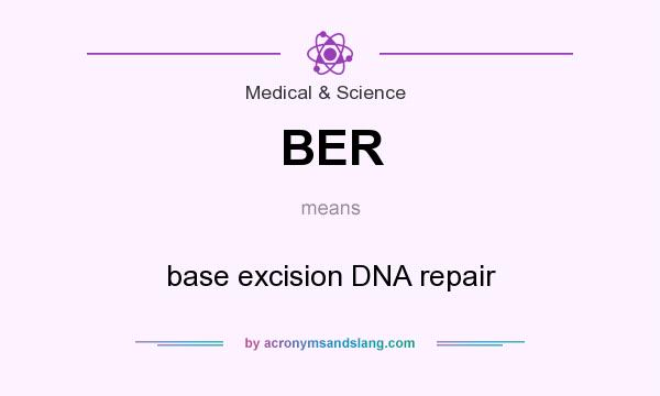 What does BER mean? It stands for base excision DNA repair