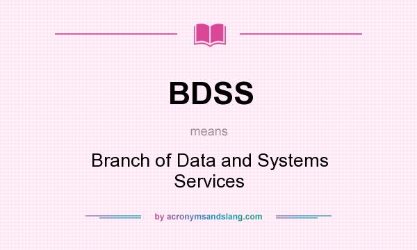 What does BDSS mean? It stands for Branch of Data and Systems Services