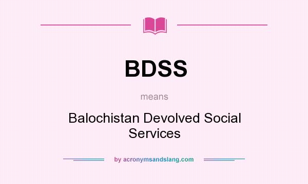 What does BDSS mean? It stands for Balochistan Devolved Social Services