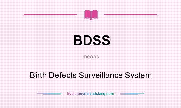 What does BDSS mean? It stands for Birth Defects Surveillance System