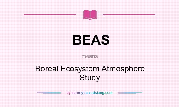 What does BEAS mean? It stands for Boreal Ecosystem Atmosphere Study