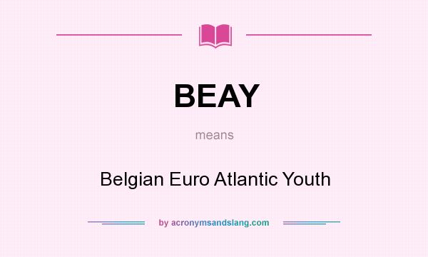 What does BEAY mean? It stands for Belgian Euro Atlantic Youth