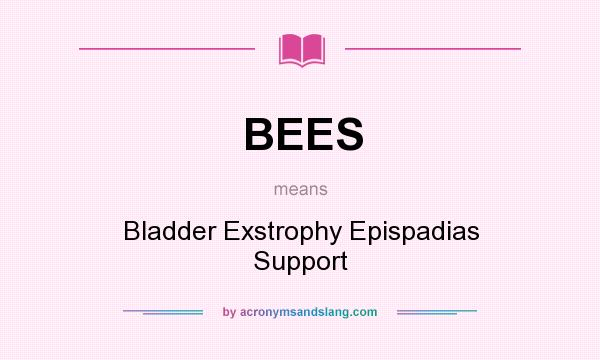 What does BEES mean? It stands for Bladder Exstrophy Epispadias Support