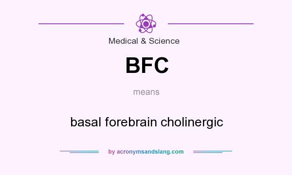 What does BFC mean? It stands for basal forebrain cholinergic